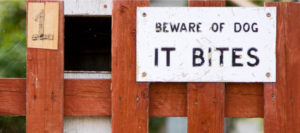 Dog Bite Laws