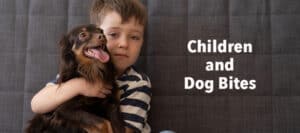 Dog Bites